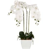 Beliani Dirbtinis augalas ORCHID 59 cm baltas