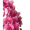 Beliani Dirbtinis augalas ORCHID 65 cm, rausvas