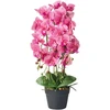 Beliani Dirbtinis augalas ORCHID 65 cm, rausvas