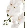 Beliani Dirbtinis augalas ORCHID 65 cm baltas