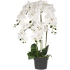 Beliani Dirbtinis augalas ORCHID 65 cm baltas