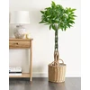Beliani Dirbtinis augalas PACHIRA TREE 120 cm žalias