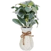 Beliani Dirbtinis augalas PEPEROMIA ARGYREIA 30 cm žalias