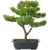 Beliani Dirbtinis augalas PINE 37 cm, žalias