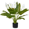 Beliani Dirbtinis augalas SPATHPHYLLUM 70 cm žalias