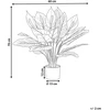 Beliani Dirbtinis augalas SPATHPHYLLUM 70 cm žalias