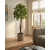 Beliani Dirbtinis augalas UMBRELLA TREE 175 cm Žalias