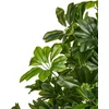 Beliani Dirbtinis augalas UMBRELLA TREE 175 cm Žalias