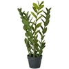 Beliani Dirbtinis augalas ZAMIIFOLIA 76 cm žalias