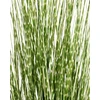 Beliani Dirbtinis augalas ZEBRA GRASS 120 cm žalias