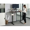Beliani Elektriškai reguliuojamas stalas WILBANKS rudas / juodas 120 cm 60 cm su USB jungtimi