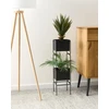 Beliani Gėlių stovas COTINUS Metal 20 cm Juodas