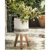 Beliani Gėlių stovas SKIATOS 22 cm, kreminės spalvos