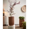 Beliani Gėlių vazonas EANTIO 30 cm rudas