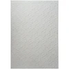 Beliani Kilimas GANNETT šviesiai pilkas 160 x 230 cm