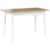 Beliani Rašomasis stalas VITRION šviesiai rudas/baltas 120 cm 60 cm