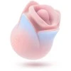 BLUSH COLLECTION BUČIUOJANČIOS ROŽĖS ROŽINIS