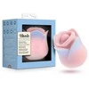 BLUSH COLLECTION BUČIUOJANČIOS ROŽĖS ROŽINIS