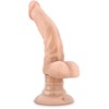 Blush COVERBOY DIDYSIS VYRAS