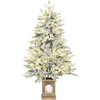 Dirbtinė kalėdinė eglutė, apsnigta, su 100 LED, žalia/balta, 120 cm