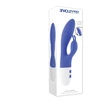 EVOLVED FUNNY BUNNY