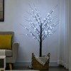 HOMCOM 150 cm dirbtinė eglutė, beržas su 96 LED, dirbtinis sniegas, Kalėdų eglutė beržas, Kalėdų dekoracijos dirbtinis beržas vakarėliui, gimtadieniui, vestuvėms, rudos spalvos