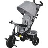 HOMCOM 6-in-1 triratis su stumiamąja rankena, vaikiškas triratis su nuimamu stogeliu nuo saulės, pagalvėle, stumdukas su 5 taškų saugos diržais, krepšeliu, puodelių laikikliu, skirtas 1-5 metų vaikams, pilkas