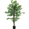 Dirbtinis augalas HOMCOM, 150 cm, su vazonu, dirbtinės samanos, dirbtinis Ficus medis, kambarinis augalas svetainei, žalias