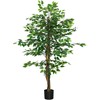 Dirbtinis augalas HOMCOM, 150 cm, su vazonu, dirbtinės samanos, dirbtinis Ficus medis, kambarinis augalas svetainei, žalias