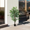 Dirbtinis augalas HOMCOM, 150 cm, su vazonu, dirbtinės samanos, dirbtinis Ficus medis, kambarinis augalas svetainei, žalias
