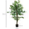 Dirbtinis augalas HOMCOM, 150 cm, su vazonu, dirbtinės samanos, dirbtinis Ficus medis, kambarinis augalas svetainei, žalias