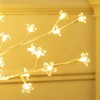 HOMCOM Dirbtinis sakurų medis, su 120 LED, 3 ryškumo lygiais, šiltai balta spalva, imituojanti tikrą žievę, 21 x 21 x 150 cm
