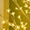 HOMCOM LED eglutė, šviečianti eglutė, vyšninė eglutė su 180 šviesos diodų, 3 ryškumo lygiai, 180 cm eglutės šviesa, dirbtinė eglutė su apšvietimu, kalėdinė dekoracija