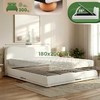 Mville Lova Maido Teddy audinys 180x200 cm