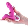 Ns novelties SPALVŲ LENKTAS VIBRACINIS 5 COLIŲ DILDO, ROŽINIS