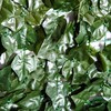 Outsunny Dirbtinė gyvatvorė, Sienų apdaila - Tamsiai žalia 300 x 150 cm