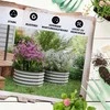 Outsunny metalinė pakeliama lysvė, 2 vnt. gėlių vazonų rinkinys, lysvė prieskoninėms žolelėms, vazonas su atviru dugnu, daržovių lysvė sodui, sidabrinė, 60 x 60 x 30 cm