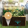"Outsunny" pakelta lysvė su grotelėmis, pakelta gėlių lysvė iš eglės medienos, sodinimo lysvė su grotelėmis, šaldymo rėmas su lentynomis, sodo lysvė, sodinukų dėžutė terasai, sodui, 76 x 33 x 177 cm