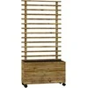 "Outsunny" pakelta lysvės sodinukų dėžutė su grotelėmis, ritinys, grotelės sodinukų dėžutė mediena, sodo grotelės 76x30x155cm sodui balkonas terasa, vazonas vijokliniams augalams pinti augalai, gėlės