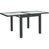 Outsunny Table Extensible de Jardin Grande Taille Matmenys: 160L x 80W x 75H cm Aliuminis Tamsiai pilka Grūdinto stiklo stalviršis Skaidrus