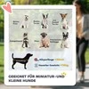 „PawHut“ 2-in-1 sulankstomas šunų ir kačių vežimėlis iki 10 kg, su pagalvėle, tinkliniais langais, durelėmis ir krepšiu daiktams laikyti, tamsiai žalias
