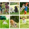 Pawhut 3 dalių šunų agility treniruočių rinkinys