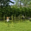 PawHut Agility kliūčių rinkinys, slalomo stulpai, šunų dresūros rinkinys, 4 x kliūtys, plastikas, geltona, 99x65x94cm | Aosom