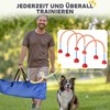 "PawHut Agility" rinkinys šunims 5 dalių užpildoma agility įranga šunų mokymui kliūčių rinkinys su reguliuojamomis agility durimis krepšys mokymo reikmenys koordinavimo mokymas žaidimų mokymui