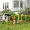 PawHut Agility rinkinys Šunys 4 dalių užpildoma agility įranga šunims mokyti kliūčių rinkinys su slalomo stulpais reguliuojamo aukščio kliūtimis šokinėjimo ringas koordinacijos mokymas žaidimų mokymui