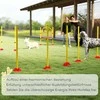 PawHut Agility rinkinys Šunys 4 dalių užpildoma agility įranga šunims mokyti kliūčių rinkinys su slalomo stulpais reguliuojamo aukščio kliūtimis šokinėjimo ringas koordinacijos mokymas žaidimų mokymui