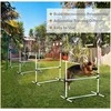 PawHut šunų dresūros rinkinys, agility kliūčių ruožas, slalomui, 4 kliūtys, plastikas, baltas, 99x65x94cm