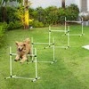 Pawhut Agility treniruočių rinkinys, šunų dresavimo rinkinys 4 x kliūtys