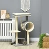 "PawHut" draskyklė 104cm su kamuoliuku ir 2 guoliavietėmis Kačių medis katėms iki 5kg, sizalis, pilkas
