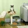 "PawHut" draskyklė 52 cm kačių draskyklė su 2 lygiais, žaidimų kamuoliukas, sizalis, skirta naudoti patalpose